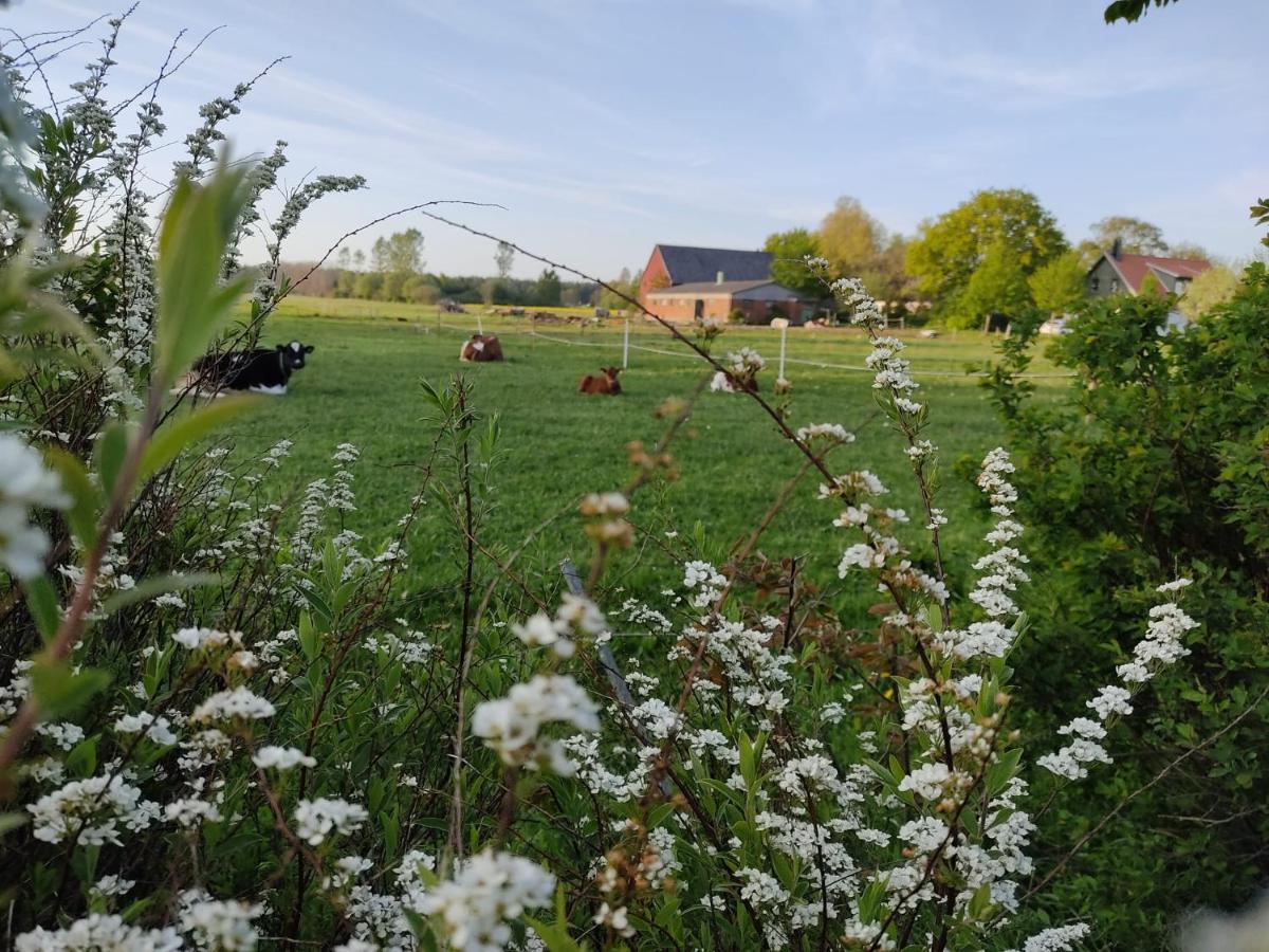Cosyplace; Close To Beach, Nature, Train, Grocery Kopingebro Экстерьер фото